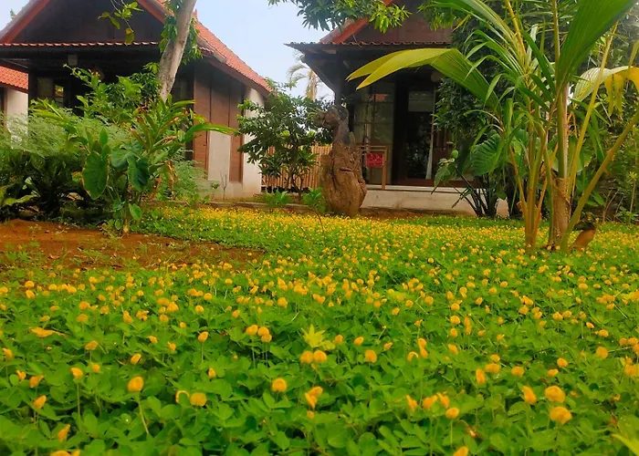 Gasthof Vanaya Wooden In Lush Garden