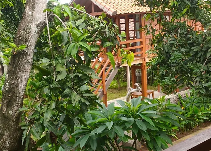 Vanaya Wooden In Lush Garden