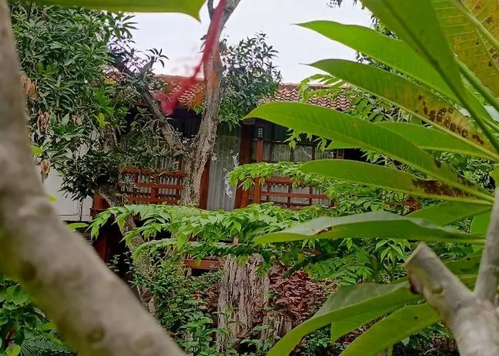 Vanaya Wooden In Lush Garden Gasthof Pemuteran