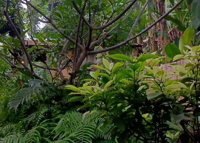 Gasthof Vanaya Wooden In Lush Garden Pemuteran