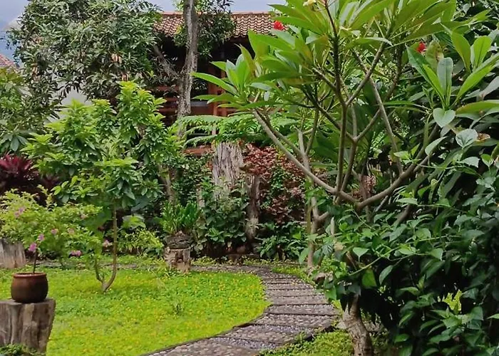 Gasthof Vanaya Wooden In Lush Garden 4*