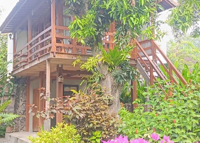 Vanaya Wooden In Lush Garden Gasthof 4*